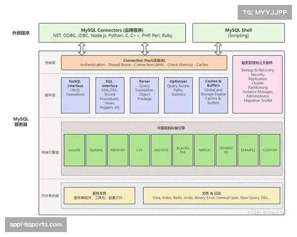 分析评论：“数据民主化”趋势——球队向付费会员开放部分实时数据接口的利与弊